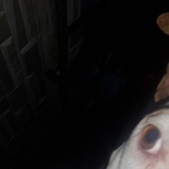 Cero8