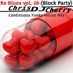 Rx Blues vol. 28(Block Party)