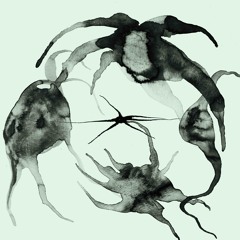Kassel Jaeger - ARITHW Excerpt