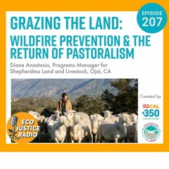 Grazing the Land: Wildfire Prevention & The Return of Pastoralism