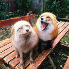 we are not the same (prod. reset x ziday)