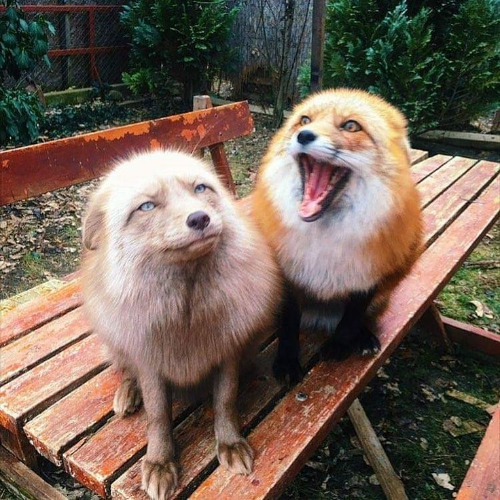 we are not the same (prod. reset x ziday)