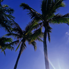 Estero