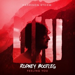 Harrison Storm - Feeling You (Rodney Bootleg) [FREE DOWNLOAD]