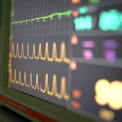 Echo Hiphop/Afrobeatss