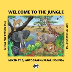 SAFARI SOUND - WELCOME TO THE JUNGLE - JUNGLE/DRUM N BASS MIX