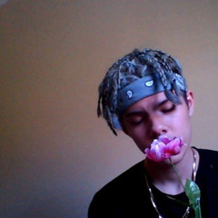 Nascar Aloe - whotfru (rare)