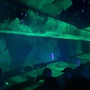 ani/live One: Kia @ Sustain Release Year 8