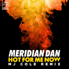 Hot For Me Now (MJ Cole Remix)