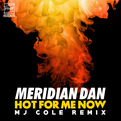 Hot For Me Now (MJ Cole Remix)