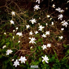 07 takethemedicinealready feat. babylØøt