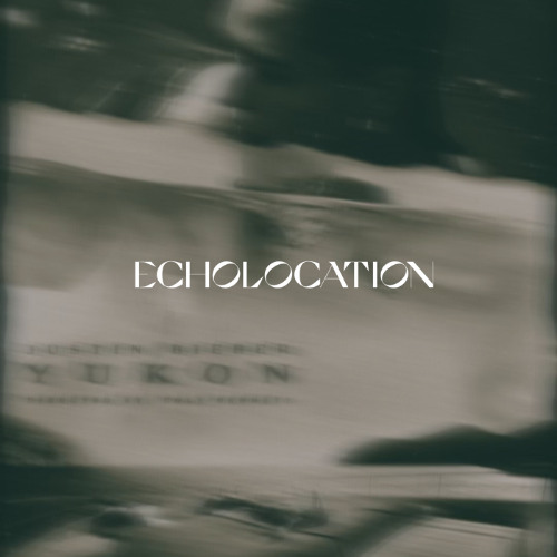 Justin Bieber - Yukon (Echolocation Remix)