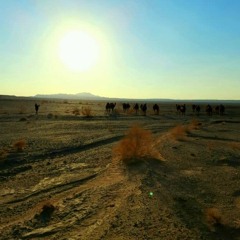 کوک گردی.‌..