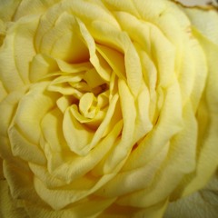 DJ APOSTLE DATA SET TECH:LOVE