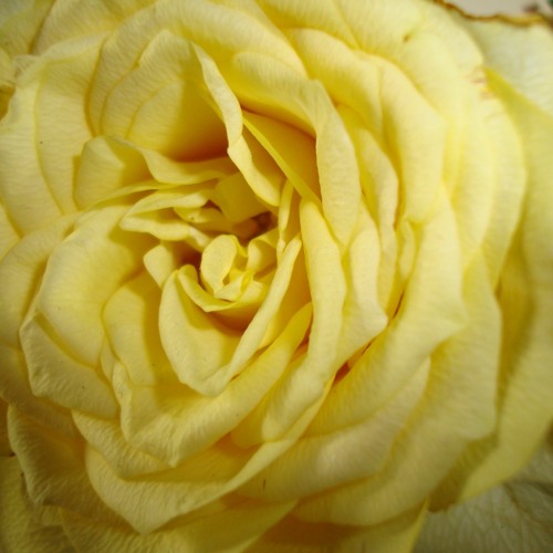 DJ APOSTLE DATA SET TECH:LOVE