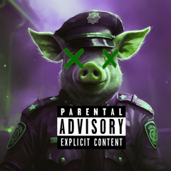 Police Officer