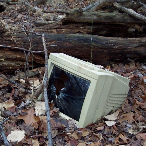 GIRLZ LIKE **US** Are ROTTEN 2two the ~~ CORE ~~