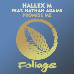 Hallex M feat. Nathan Adams – Promise Me (Vocal Mix)