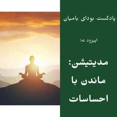 Episode 9: Meditation- staying with emotions -بودای بامیان ۹: مدیتیشن - ماندن با احساسات