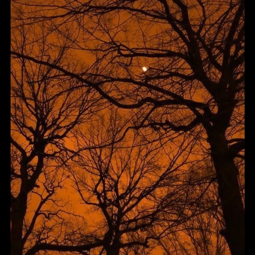 wish it coulda worked