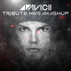 Avicii Tribute Megamashup