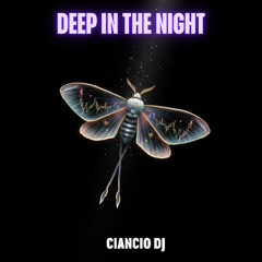 Ciancio DJ - Deep In The Night