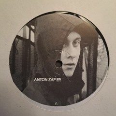 Vinyl Sanctuary Sessions Volume 4 - Anton Zap