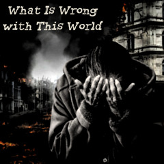 What Is Wrong with This World - song by Hawkbaby #2