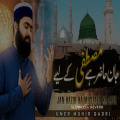 Jan Hazir Hai Mustafa Ke Liye Lofi Version