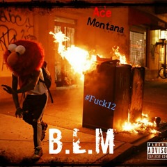 Ace Montana- B.L.M (Fuck12)