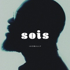 "SOIS" - Asake x Seyi Vibez Type Beat [ Afro-Fusion Type Beat ]