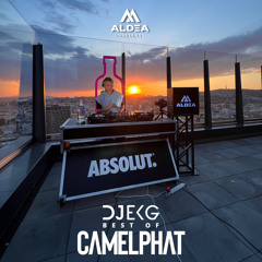 Aldea Presents Best Of Camelphat By DJ EKG