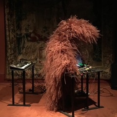 "SeaSlugSet", live machines in collaboration w/ Clédat & Petitpierre (w/costum on the left beside)