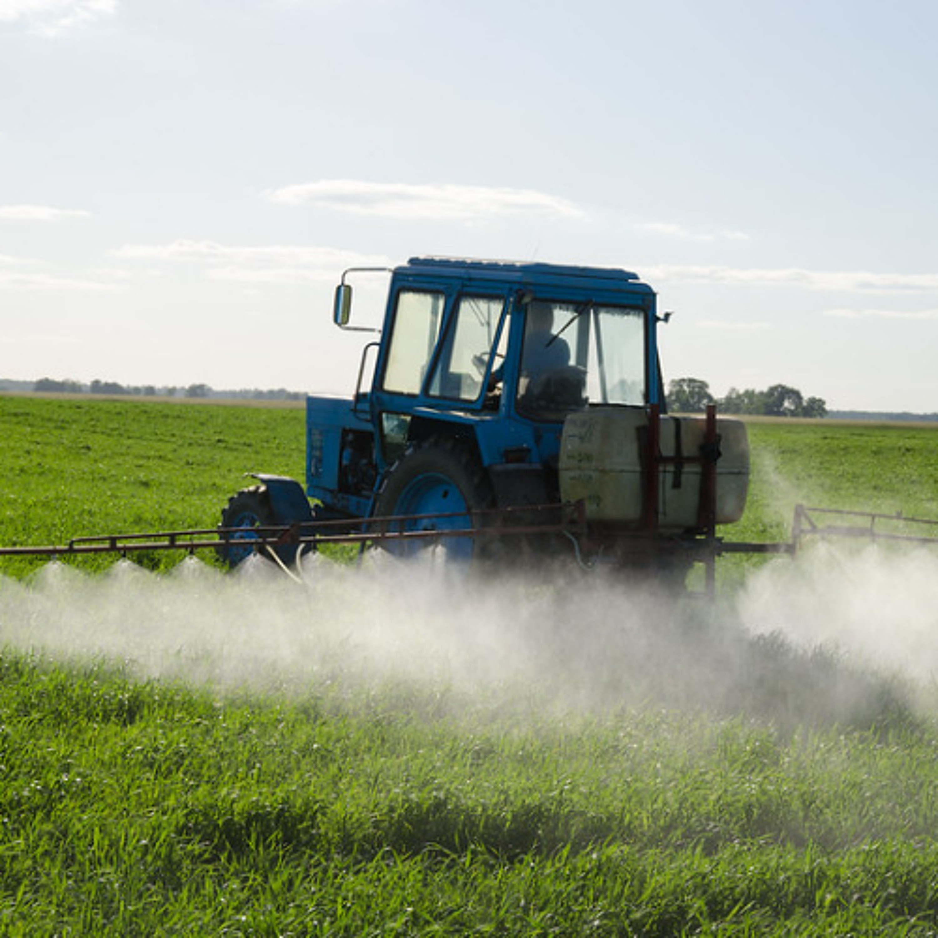 The Farm Bill Rides Again!