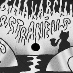 Axel Boman - Abba 002 (Shak & Stran Remix)