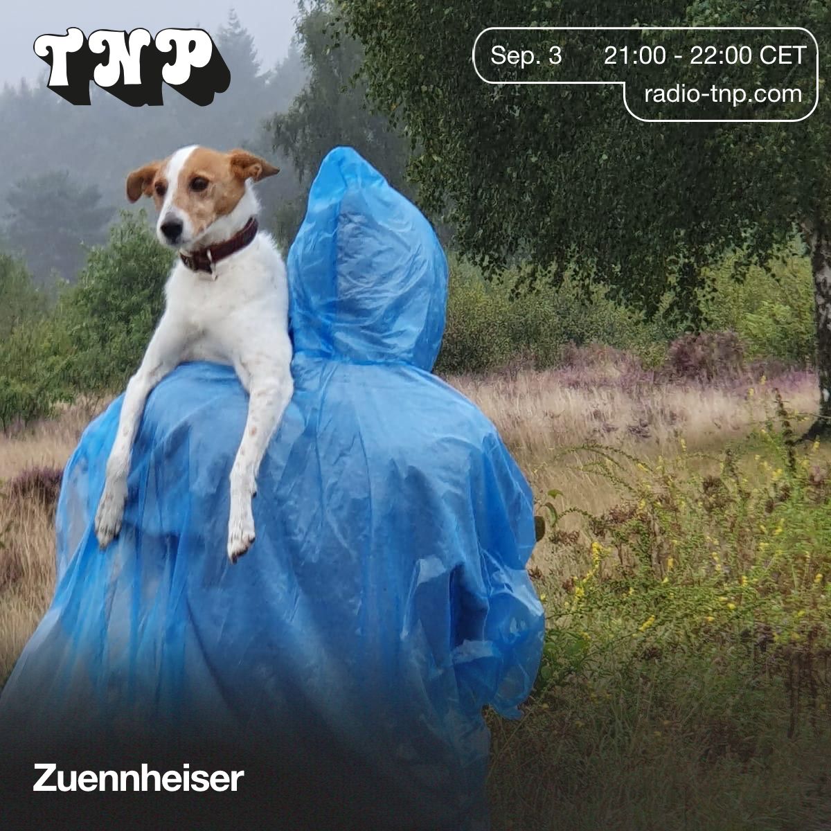 Zuennheiser