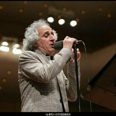 Mohsen Namjoo - Morghe Sokhandan محسن نامجو قطعه مرغ سخندان