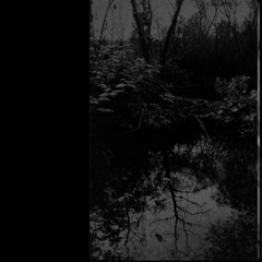 sadness - disappointment