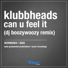 Klubbheads - Can U Feel It (DJ BoozyWoozy Remix )