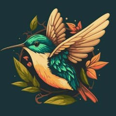 Canto Del Colibrí