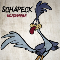 Schapeck - Roadrunner