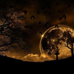 Ajda Pekkan Cool Kadın - Sezen Aksu Vay (DJ TTosun) Remix