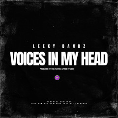 Voices In My Head (prod by: only1svolk & vogo)