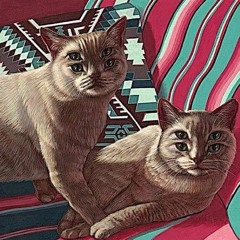 Полумягкие - За закрытой дверью