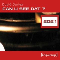 03 - David Duriez - Can You See Dat (Rhadow Meets NTFO Rmx)