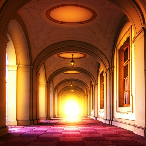 Drawn to the light.