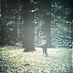 Everyone Wants To Be A Hero