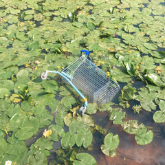 Chlidish Gambino - Fire Fly (Valentino Remix)