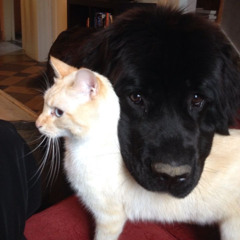 you're just making it worse