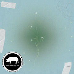 [Swine Guest Mix] PIT - Hybridization Tales Background